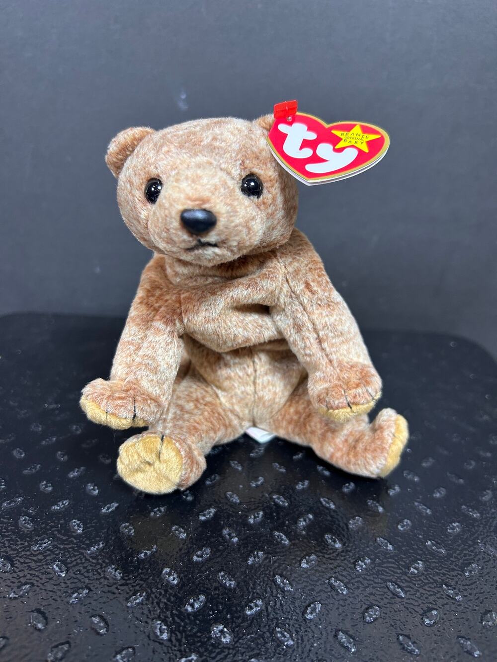 Ty Beanie Baby "Pecan" the brown bear
